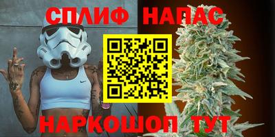 СК Балашиха