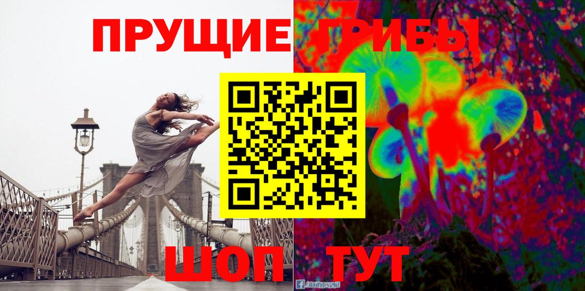 Псилоцибиновые грибы GOLDEN TEACHER Гусев